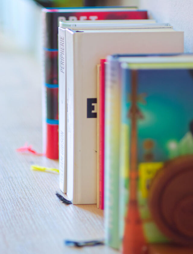 Colorful hardcover book collection including works by David Foster Wallace, Bret Easton Ellis and William Gibson on white shelf in bedroom of furnished premium apartment Bamberg