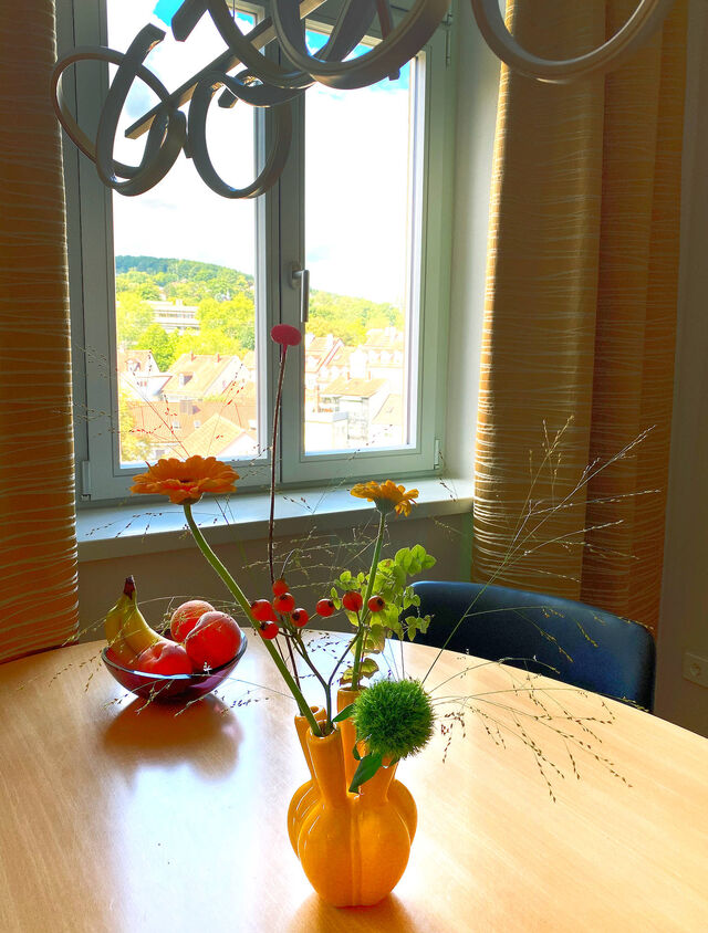 Pierre Paulin designer table with colorful flowers, fruit bowl and view of Bamberg rooftops and green hills through large windows in furnished premium apartment