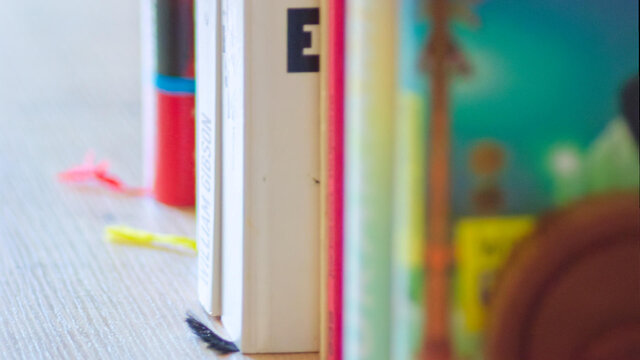 Colorful hardcover book collection including works by David Foster Wallace, Bret Easton Ellis and William Gibson on white shelf in bedroom of furnished premium apartment Bamberg